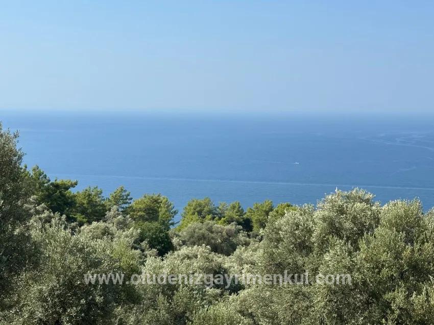 Köyceğiz Çandır Mah. Satılık Tarla - Tarla İmar Durumlu - 21.000 m²
