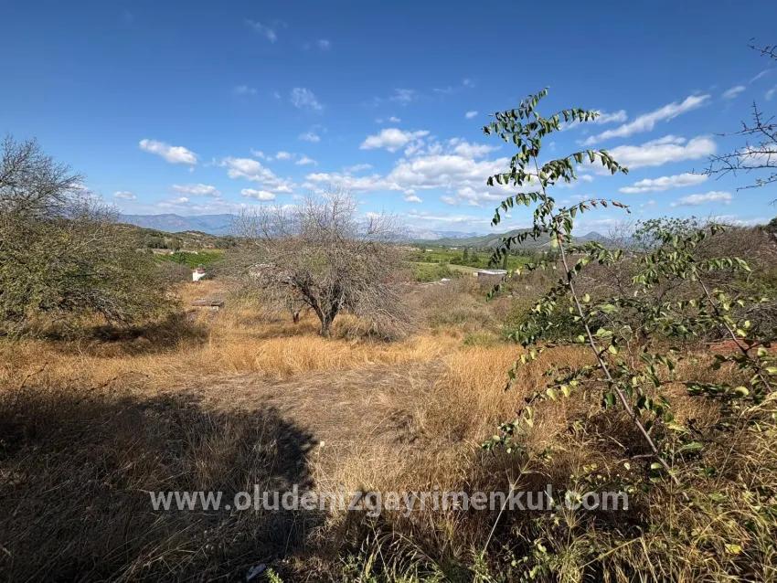 Ortaca Dalyan Mah. Satılık Tarla - Tarla İmar Durumlu - 5.000 m²
