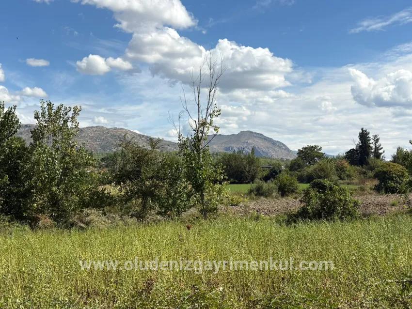 Köyceğiz Zeytinalanı Mah. Satılık Tarla - Tarla İmar Durumlu - 10.500 m²