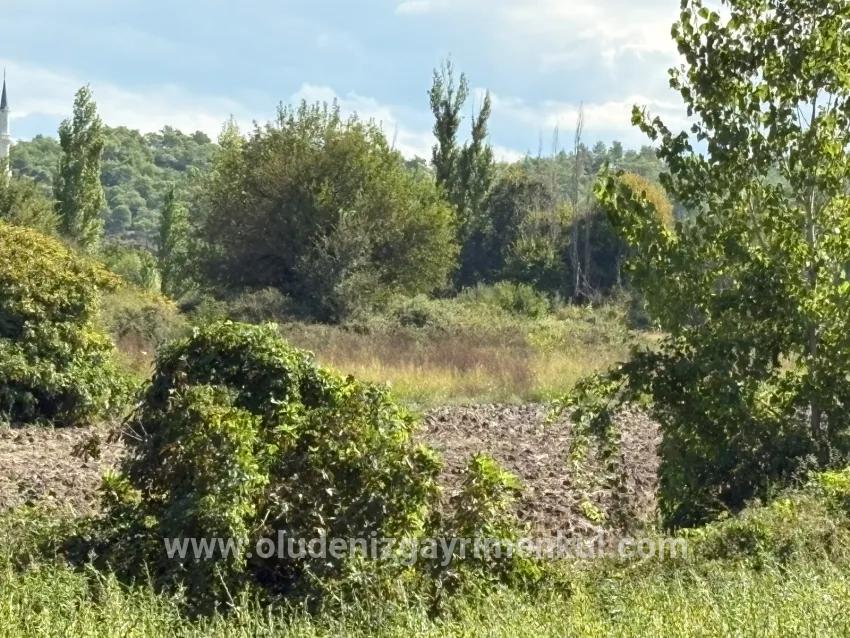 Köyceğiz Zeytinalanı Mah. Satılık Tarla - Tarla İmar Durumlu - 10.500 m²