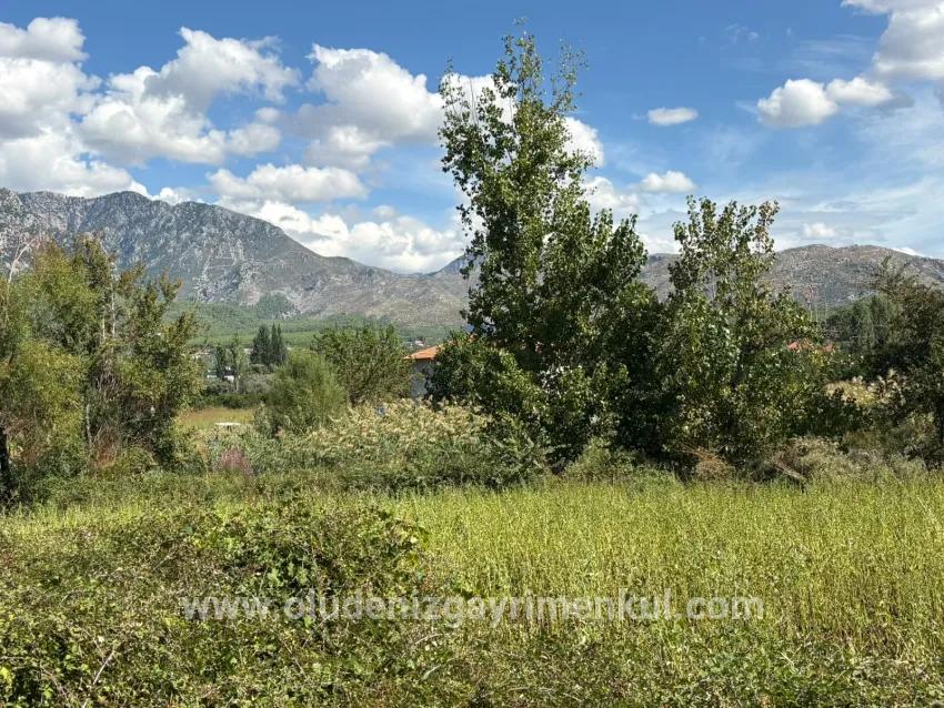 Köyceğiz Zeytinalanı Mah. Satılık Tarla - Tarla İmar Durumlu - 10.500 m²