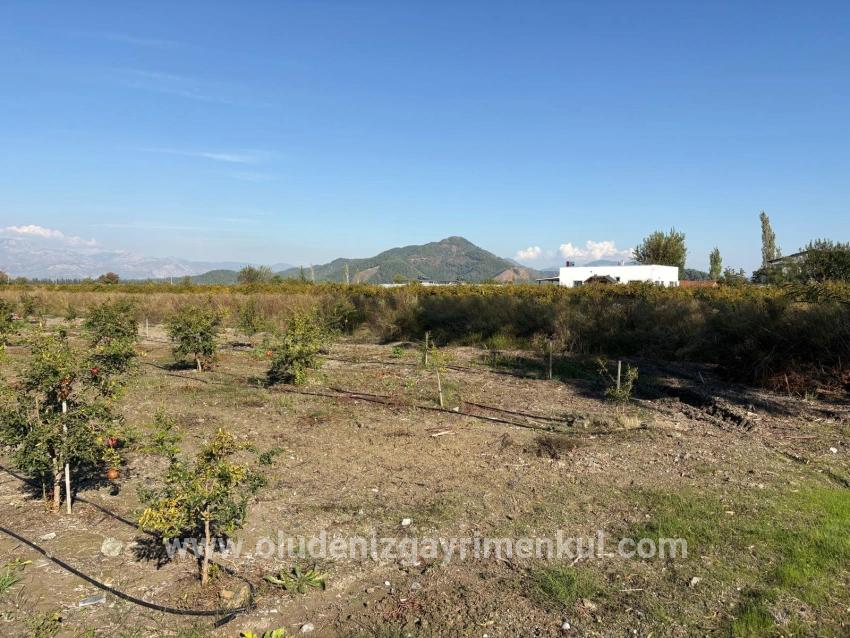 Ortaca Eskiköy Mah. Satılık Tarla - Tarla İmar Durumlu - 21.500 m²