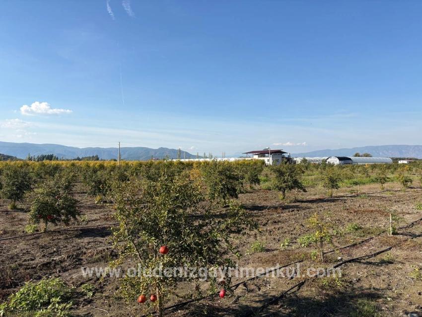 Ortaca Eskiköy Mah. Satılık Tarla - Tarla İmar Durumlu - 21.500 m²