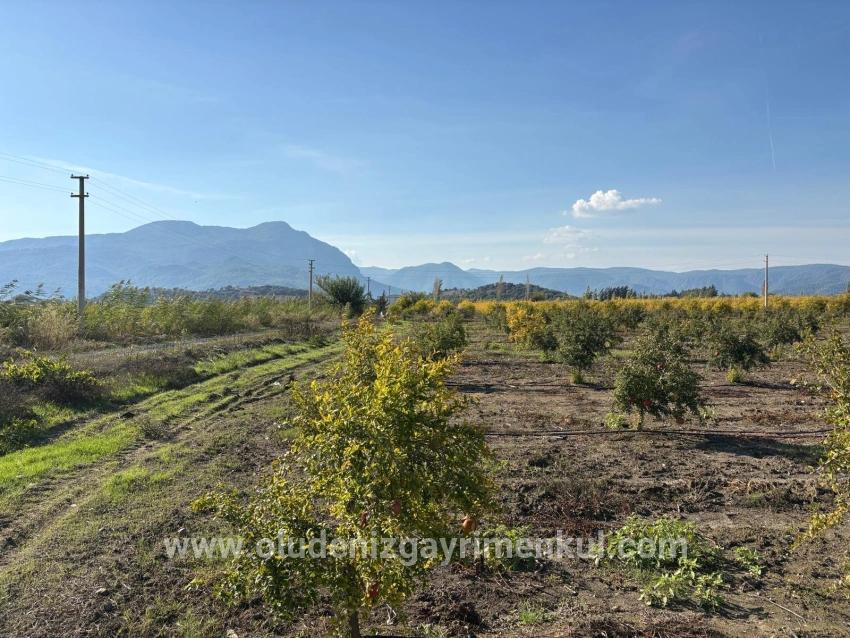 Ortaca Eskiköy Mah. Satılık Tarla - Tarla İmar Durumlu - 21.500 m²