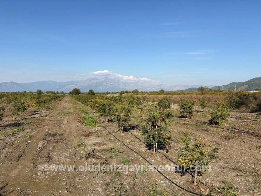 Ortaca Eskiköy Mah. Satılık Tarla - Tarla İmar Durumlu - 21.500 m²
