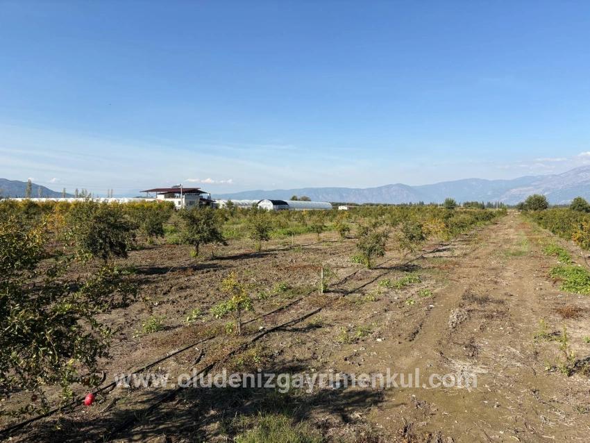 Ortaca Eskiköy Mah. Satılık Tarla - Tarla İmar Durumlu - 21.500 m²