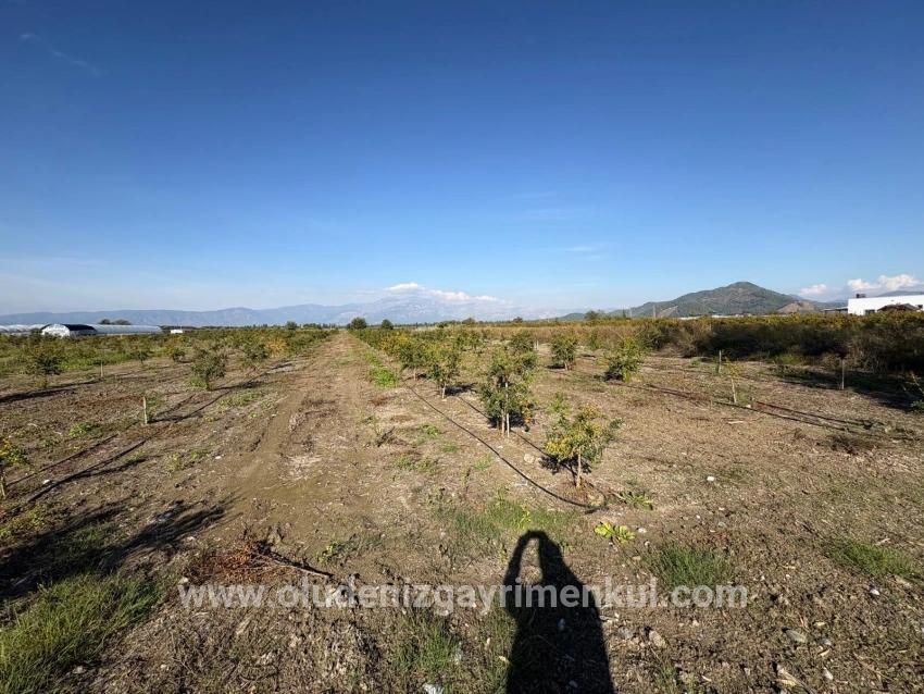 Ortaca Eskiköy Mah. Satılık Tarla - Tarla İmar Durumlu - 21.500 m²
