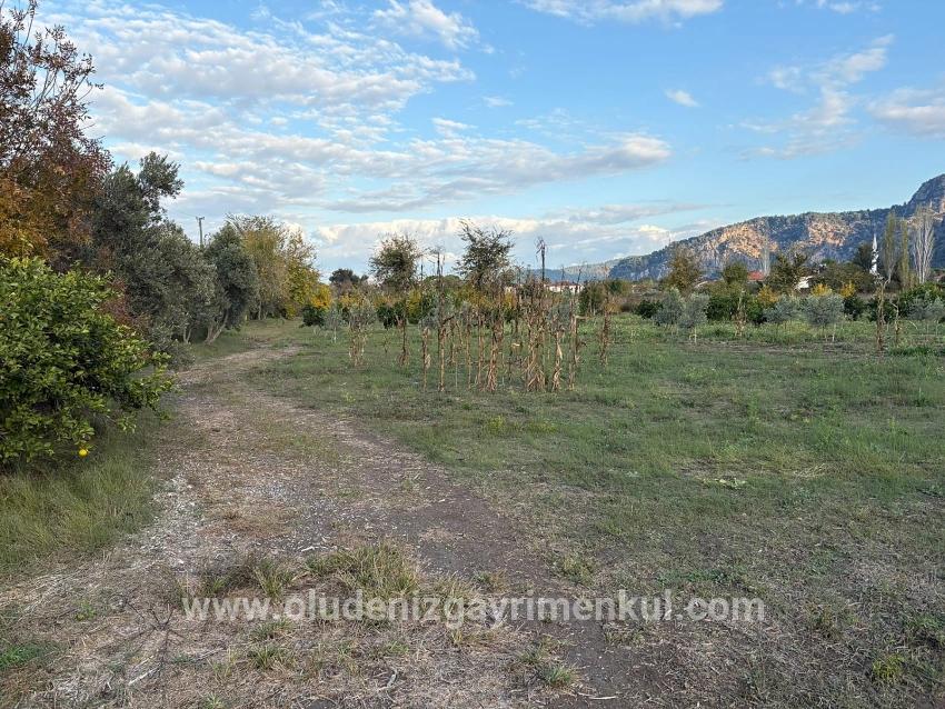 Dalyan'da 7.450m2 %5 İmarlı Satılık Arsa