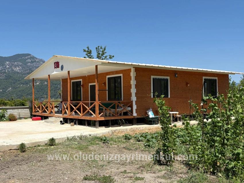 Dalyan Karadağ Mevkiinde 2500m2 Tarla İçerisinde 120m2 Müstakil Ahşap Ev