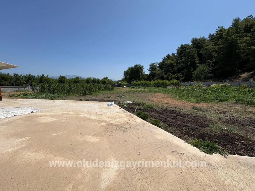 Dalyan Karadağ Mevkiinde 2500m2 Tarla İçerisinde 120m2 Müstakil Ahşap Ev
