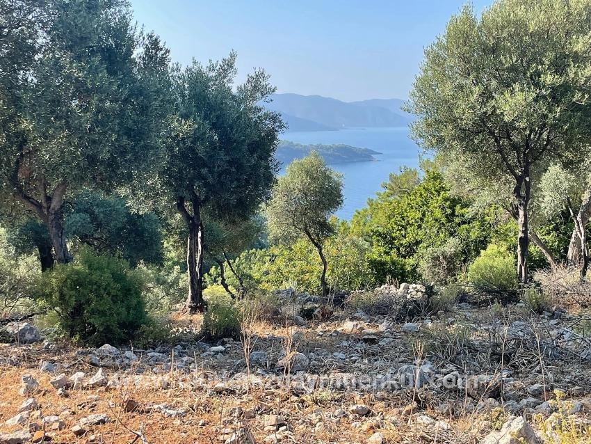 Ekincik Çandır Arasın'da Deniz Manzaralı Kelepir Emlak Satılık Arsa