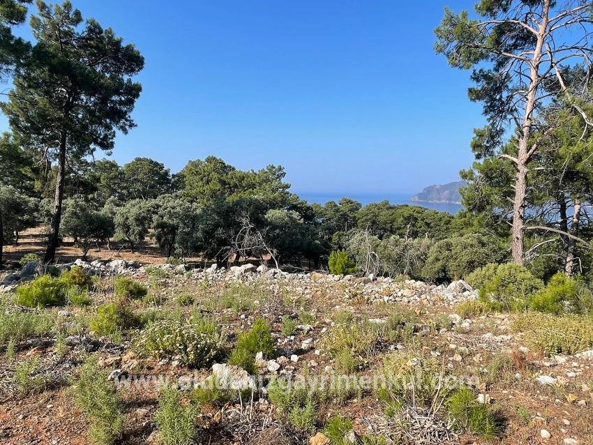 Ekincik Çandır Arasın'da Deniz Manzaralı Kelepir Emlak Satılık Arsa