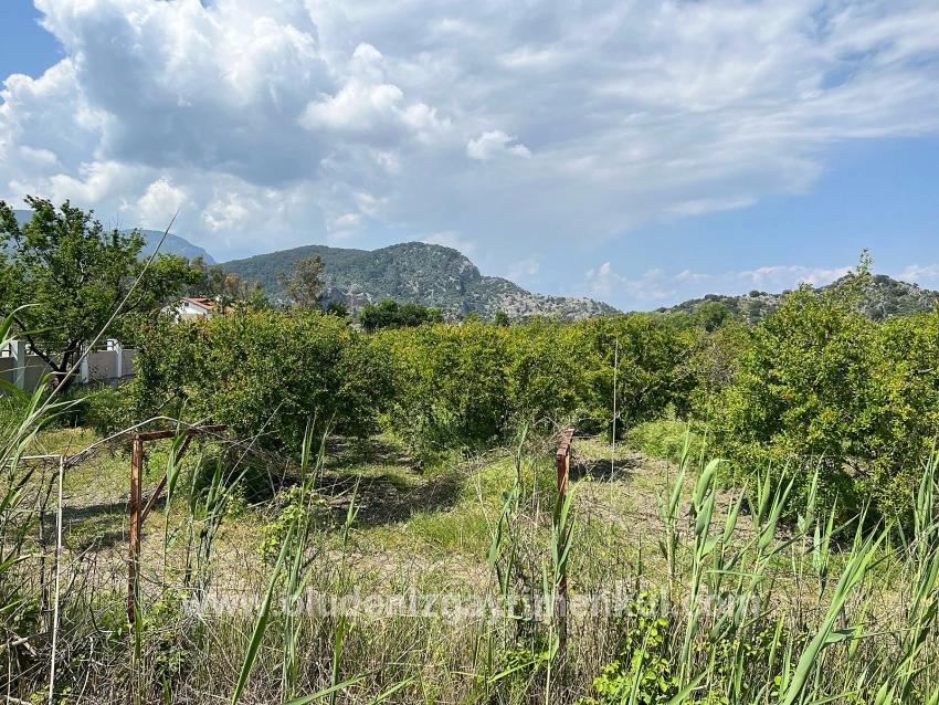 Dalyan Maraş Mevkiinden 5,100m2 %5 Konut İmarlı Satılık Arsa