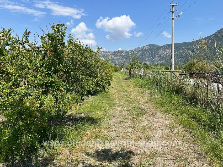 Dalyan Maraş Mevkiinden 5,100m2 %5 Konut İmarlı Satılık Arsa