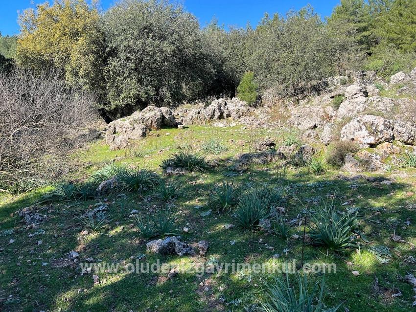 Ortaca Gökbel Mah. Satılık Tarla - Tarla İmar Durumlu - 24.163 m²