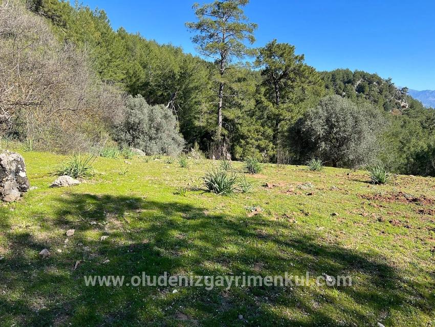 Ortaca Gökbel Mah. Satılık Tarla - Tarla İmar Durumlu - 24.163 m²