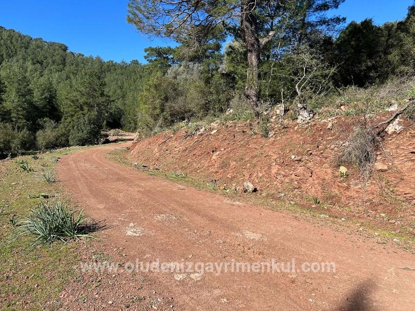 Ortaca Gökbel Mah. Satılık Tarla - Tarla İmar Durumlu - 24.163 m²