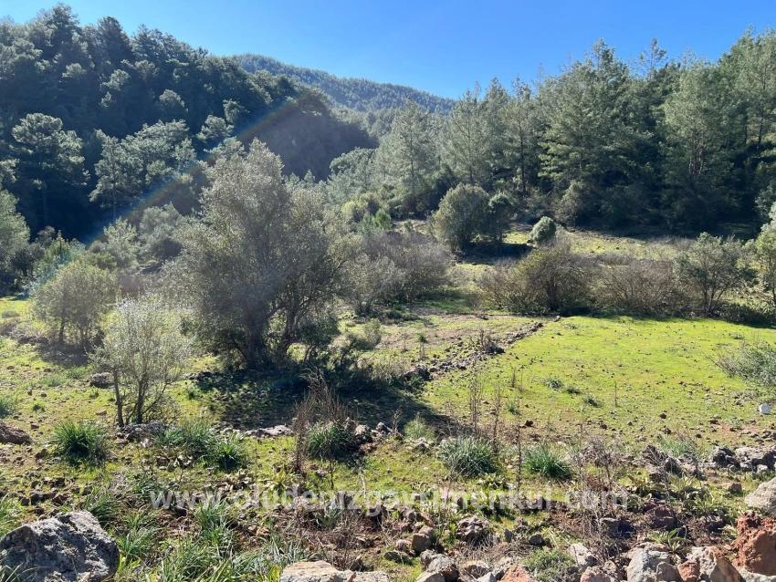 Ortaca Gökbel Mah. Satılık Tarla - Tarla İmar Durumlu - 24.163 m²