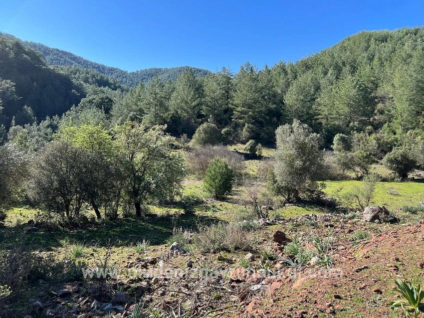 Ortaca Gökbel Mah. Satılık Tarla - Tarla İmar Durumlu - 24.163 m²