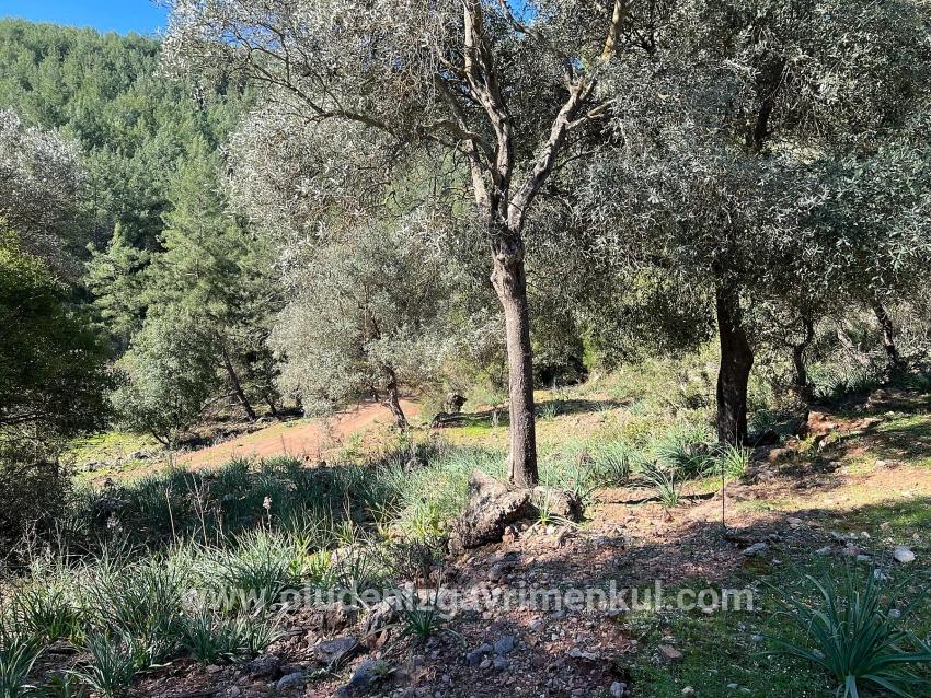 Ortaca Gökbel Mah. Satılık Tarla - Tarla İmar Durumlu - 24.163 m²