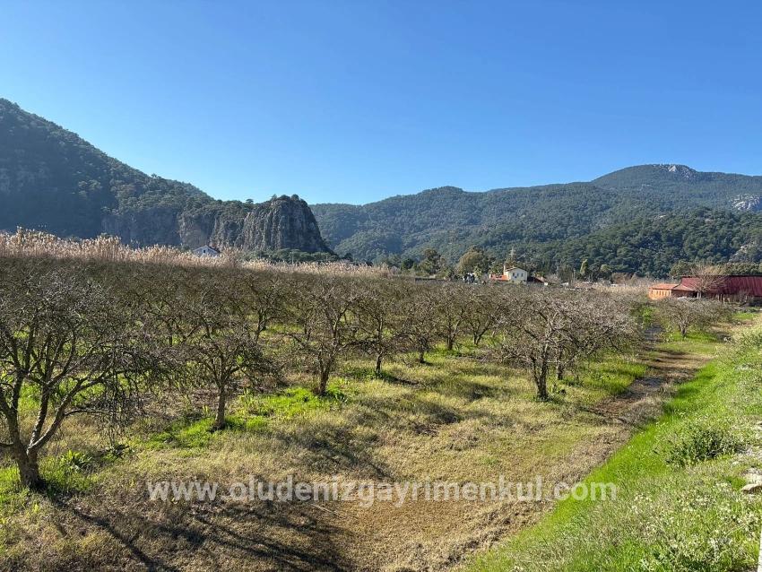 Ortaca Dalyan Mah. Satılık Arsa - Konut İmar Durumlu - 5.985 m²