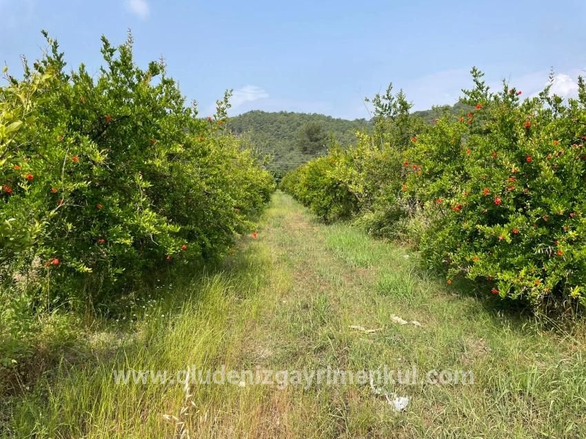 Ortaca Gökbel Mah. Satılık Tarla - Konut İmar Durumlu - 7.800 m²