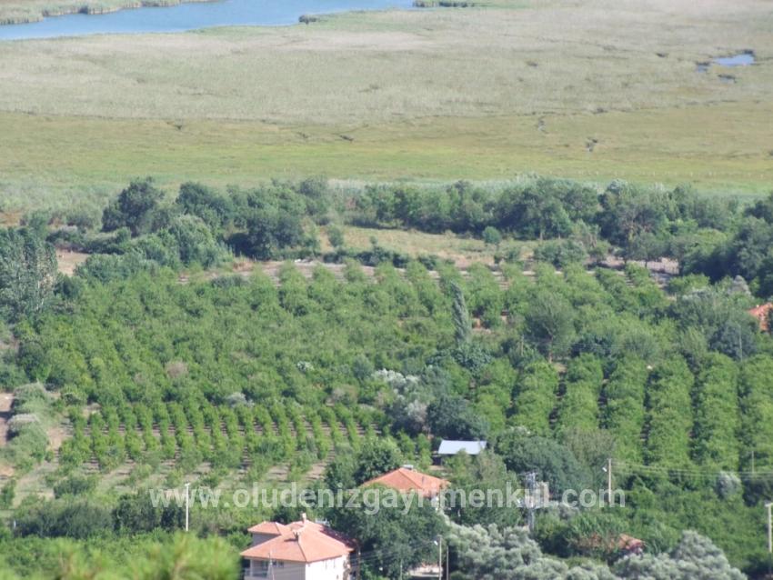 Köyceğiz Çandır Mah. Satılık Tarla - Tarla İmar Durumlu - 19.334 m²