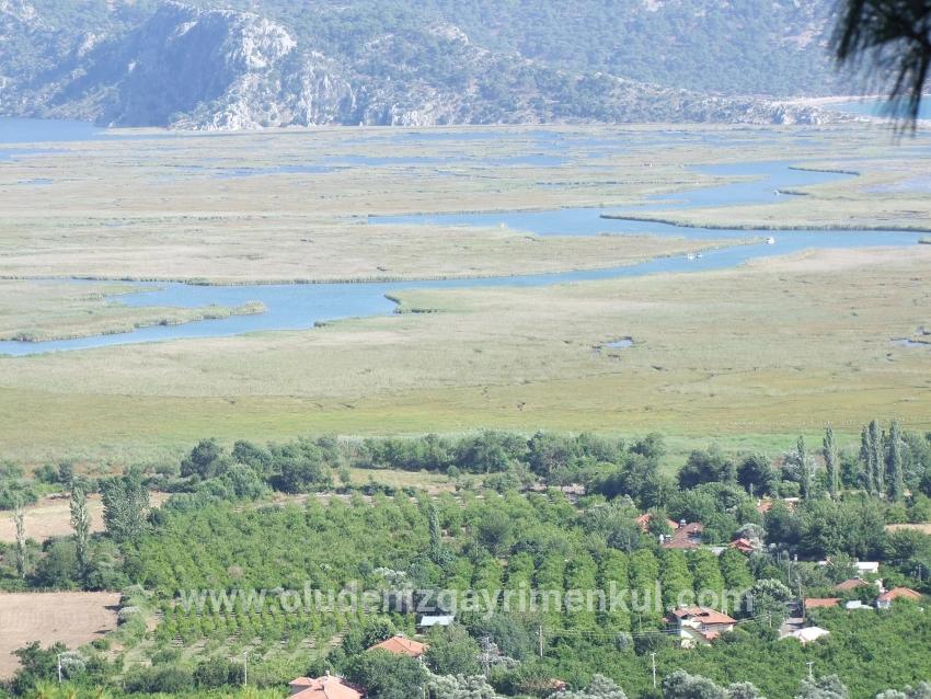Köyceğiz Çandır Mah. Satılık Tarla - Tarla İmar Durumlu - 19.334 m²
