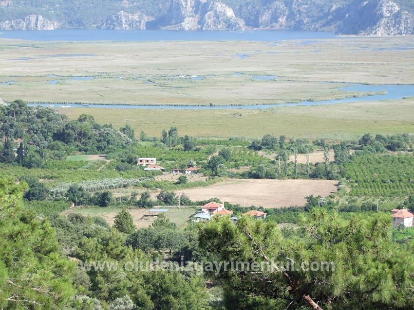 Köyceğiz Çandır Mah. Satılık Tarla - Tarla İmar Durumlu - 19.334 m²