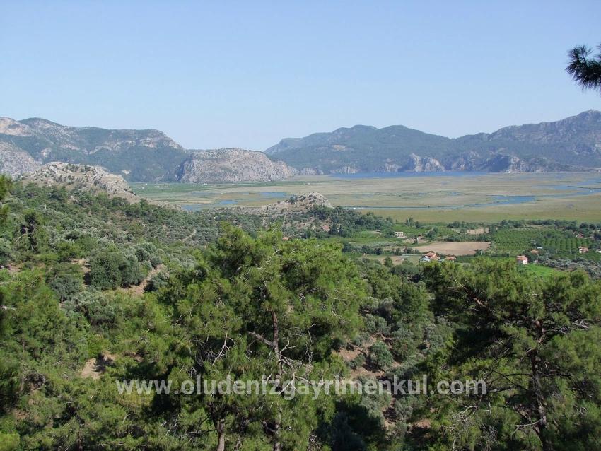 Köyceğiz Çandır Mah. Satılık Tarla - Tarla İmar Durumlu - 19.334 m²