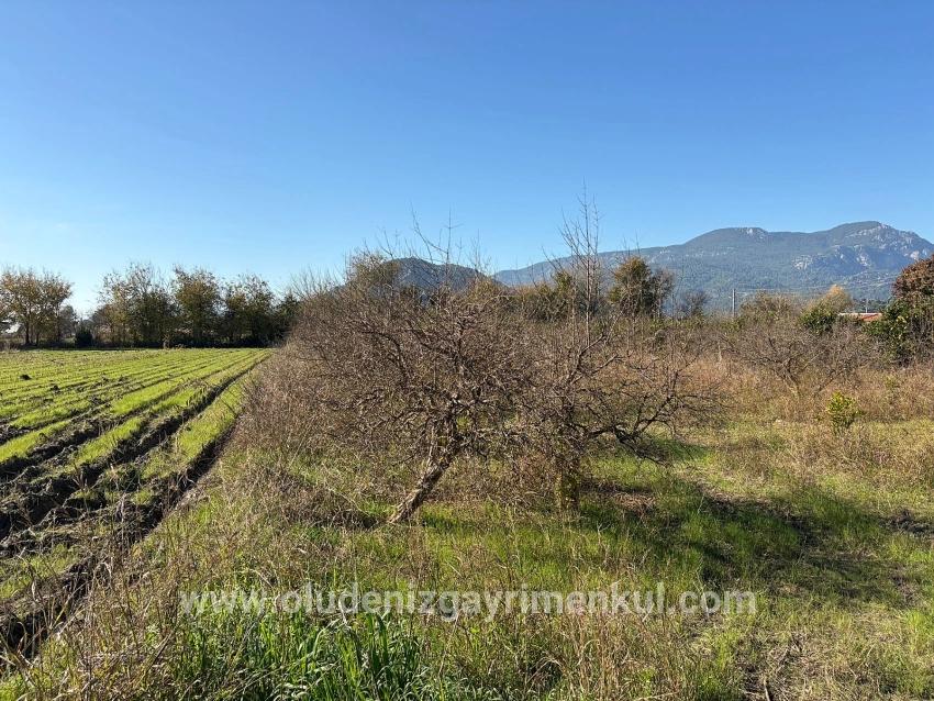 Ortaca Dalyan Mah. Satılık Tarla - Tarla İmar Durumlu - 4.541 m²