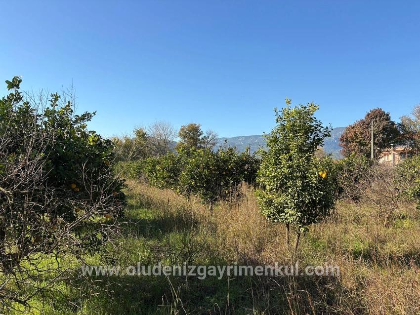 Ortaca Dalyan Mah. Satılık Tarla - Tarla İmar Durumlu - 4.541 m²