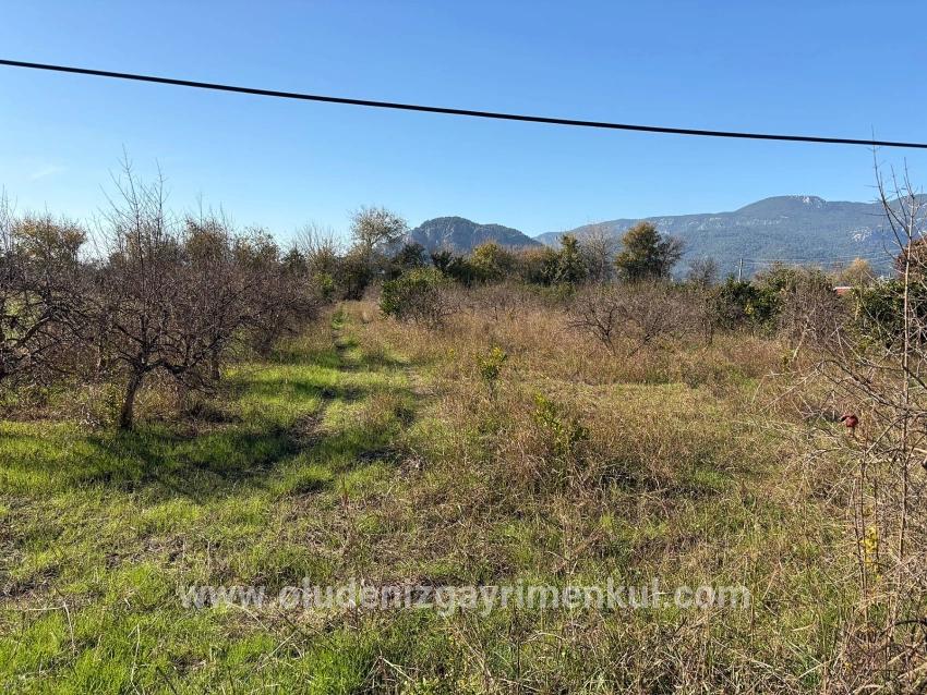 Ortaca Dalyan Mah. Satılık Tarla - Tarla İmar Durumlu - 4.541 m²