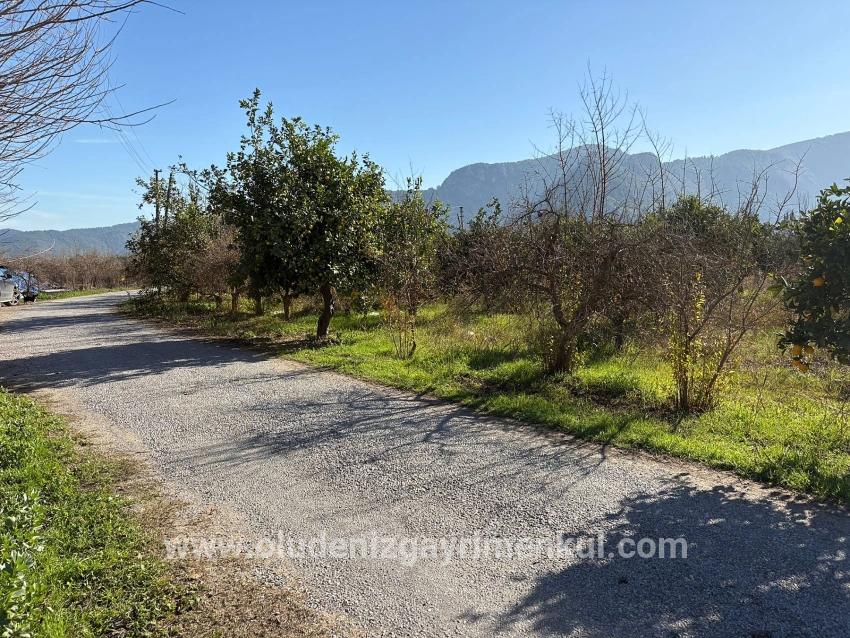 Ortaca Dalyan Mah. Satılık Tarla - Tarla İmar Durumlu - 4.541 m²