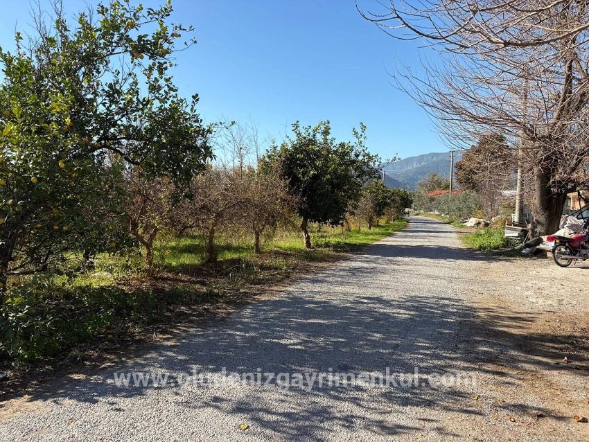 Ortaca Dalyan Mah. Satılık Tarla - Tarla İmar Durumlu - 4.541 m²
