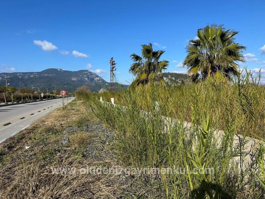 Dalyan Anayola Sıfır 5.111m2 Satılık Ticari-konut Arsası