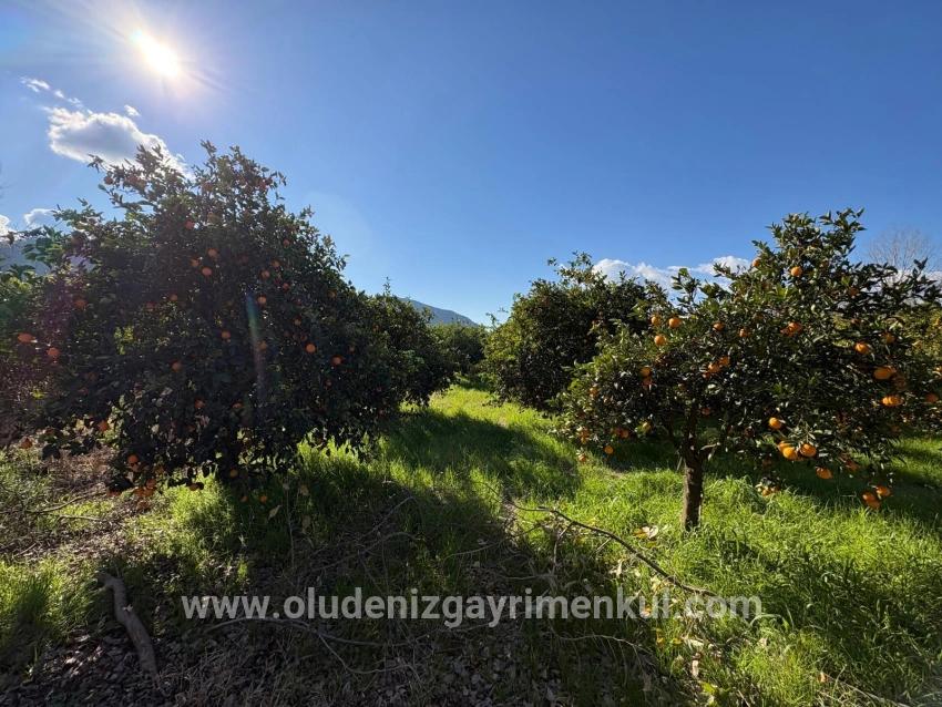 Ortaca Okçular Mah. Satılık Arsa - Konut İmar Durumlu - 4.326 m²