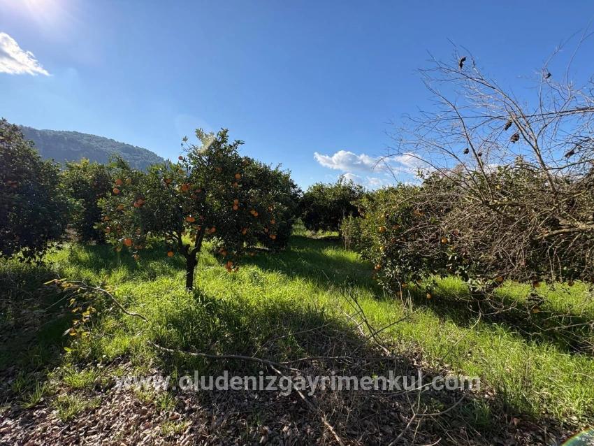 Ortaca Okçular Mah. Satılık Arsa - Konut İmar Durumlu - 4.326 m²