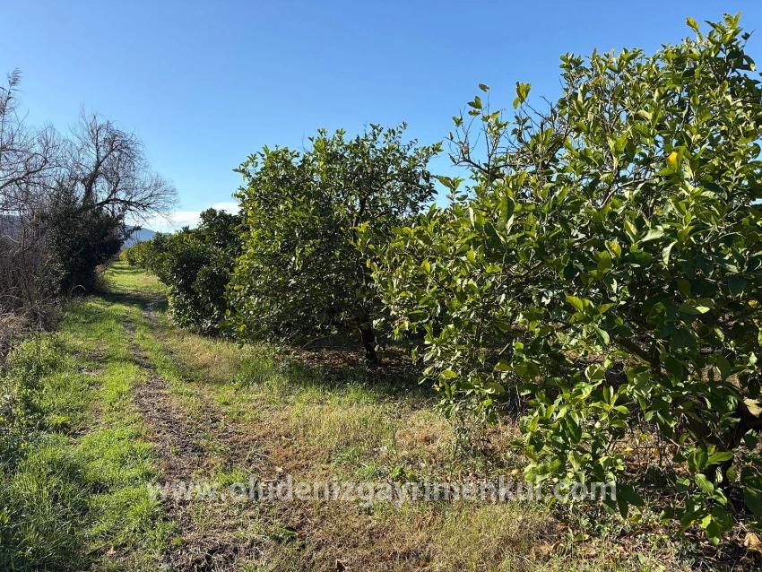 Ortaca Dalyan Mah. Satılık Tarla - Tarla İmar Durumlu - 16.500 m²