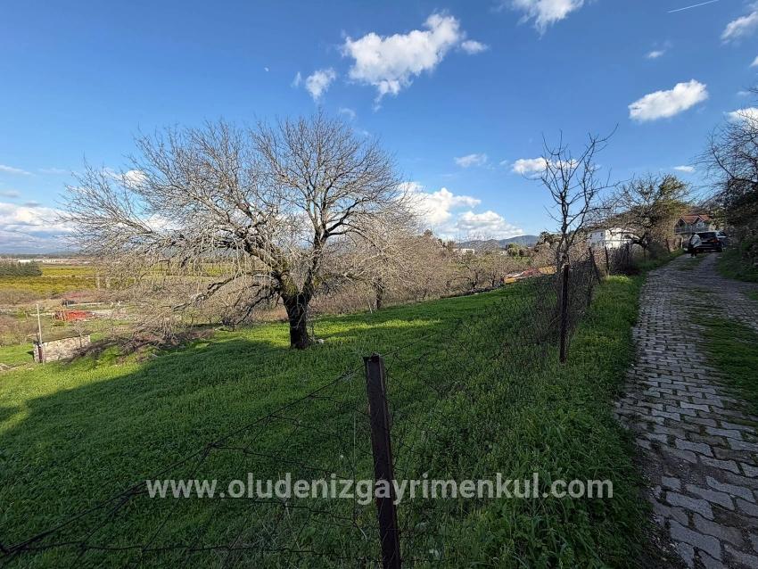 Dalyan'da Göl Manzaralı 11.230m2 Satılık Tarla
