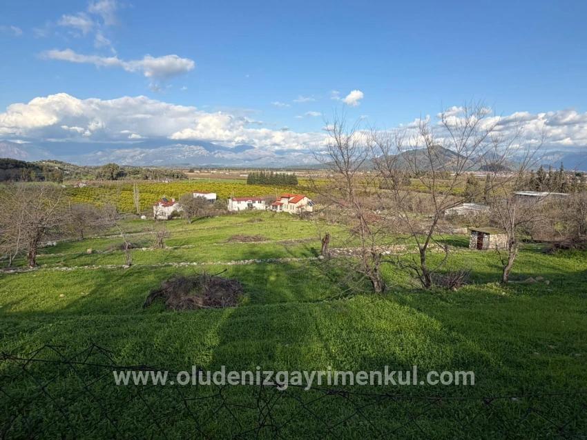 Dalyan'da Göl Manzaralı 11.230m2 Satılık Tarla