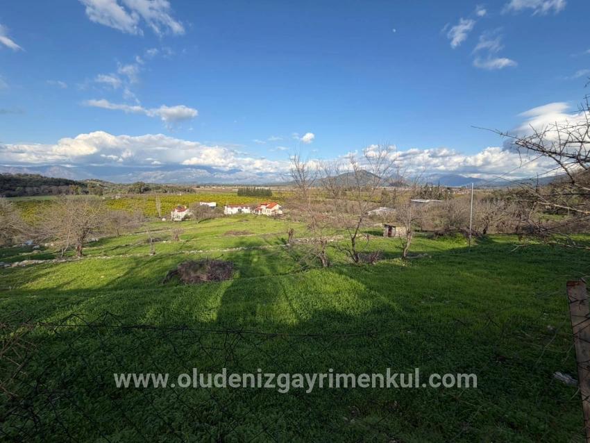 Dalyan'da Göl Manzaralı 11.230m2 Satılık Tarla
