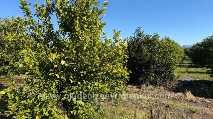 Ortaca Okçular Mah. Satılık Arsa - Konut İmar Durumlu - 2.218 m²