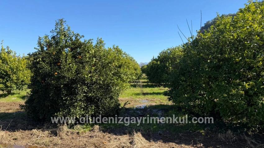 Ortaca Okçular Mah. Satılık Arsa - Konut İmar Durumlu - 2.218 m²