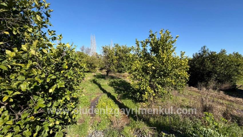 Ortaca Okçular Mah. Satılık Arsa - Konut İmar Durumlu - 2.218 m²