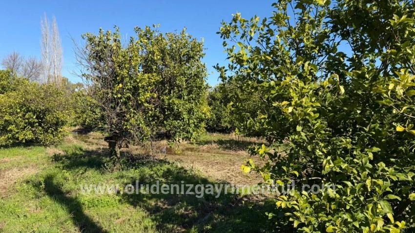 Ortaca Okçular Mah. Satılık Arsa - Konut İmar Durumlu - 2.218 m²
