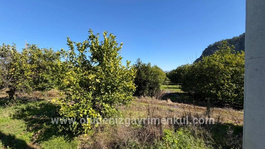Ortaca Okçular Mah. Satılık Arsa - Konut İmar Durumlu - 2.218 m²