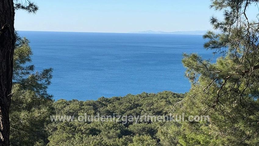 Köyceğiz Çandır Mah. Satılık Tarla - Konut İmar Durumlu - 5.715 m²