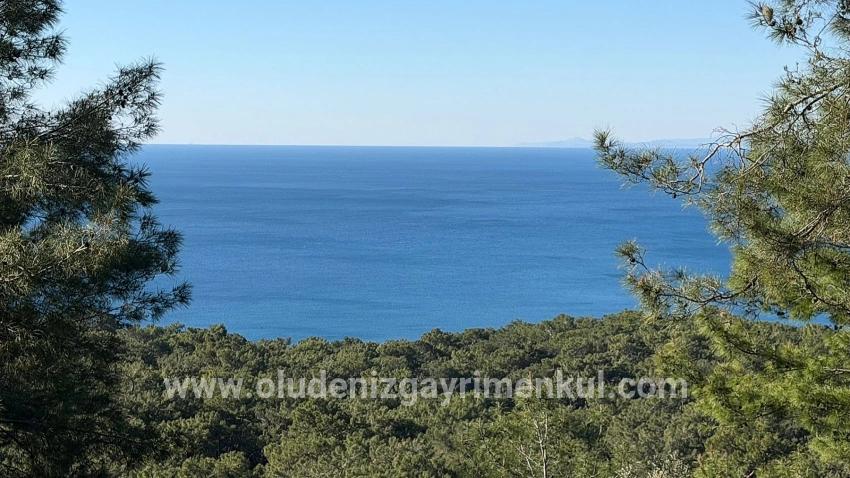 Köyceğiz Çandır Mah. Satılık Tarla - Konut İmar Durumlu - 5.715 m²