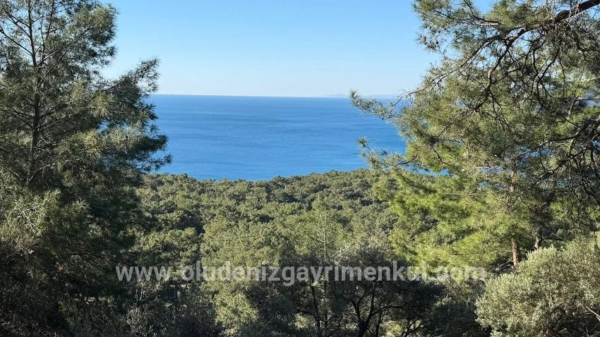 Köyceğiz Çandır Mah. Satılık Tarla - Konut İmar Durumlu - 5.715 m²
